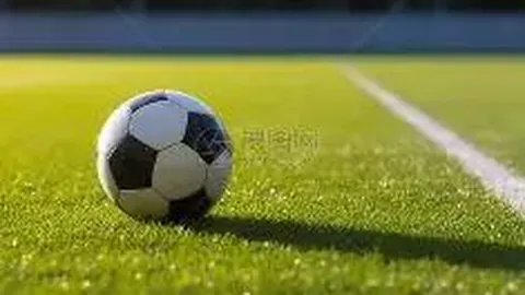 【独家揭秘】26010期大乐透号码前瞻：三胆神选，01、19、26不容错过！