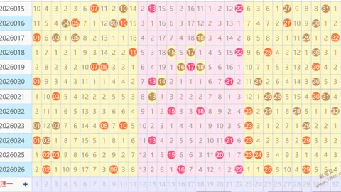 大乐透第2026021期专家推荐：前区五胆质合分析