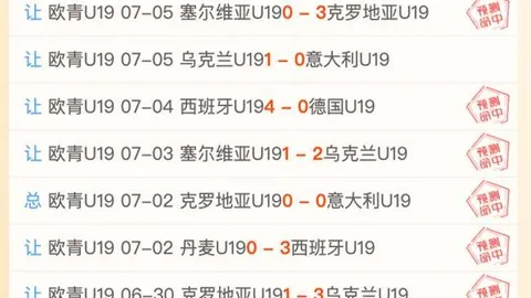 2026最新转会动态：考文垂引入布伦特福德33岁中卫平诺克，转会费600万镑